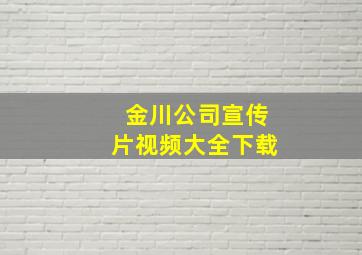 金川公司宣传片视频大全下载