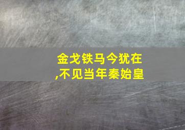 金戈铁马今犹在,不见当年秦始皇