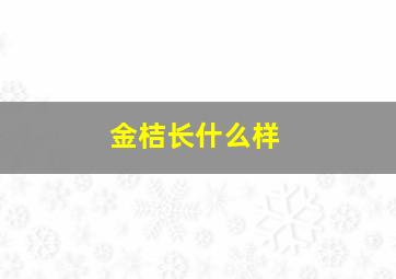 金桔长什么样