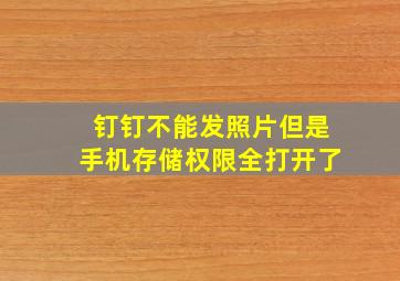 钉钉不能发照片但是手机存储权限全打开了