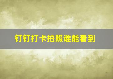 钉钉打卡拍照谁能看到