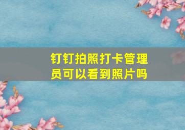 钉钉拍照打卡管理员可以看到照片吗