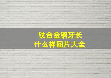 钛合金钢牙长什么样图片大全