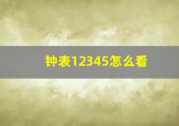 钟表12345怎么看