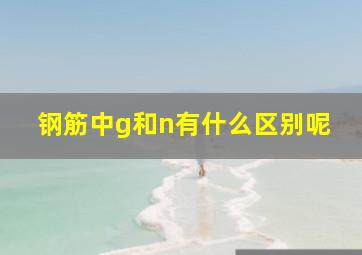 钢筋中g和n有什么区别呢