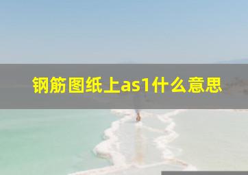 钢筋图纸上as1什么意思