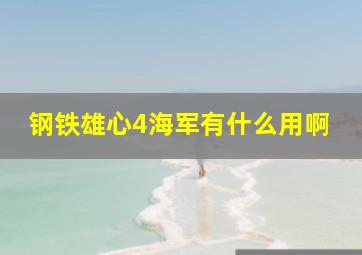 钢铁雄心4海军有什么用啊