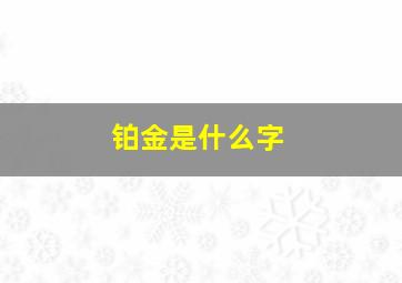 铂金是什么字