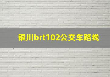 银川brt102公交车路线