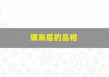 银渐层的品相