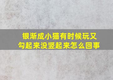 银渐成小猫有时候玩又勾起来没竖起来怎么回事