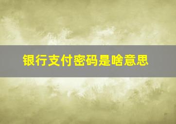 银行支付密码是啥意思