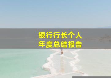 银行行长个人年度总结报告