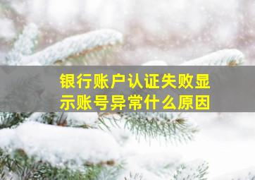 银行账户认证失败显示账号异常什么原因