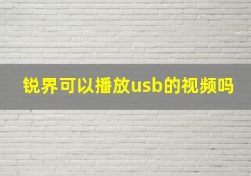 锐界可以播放usb的视频吗