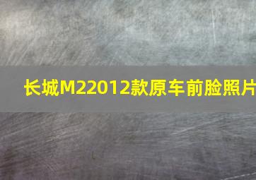 长城M22012款原车前脸照片