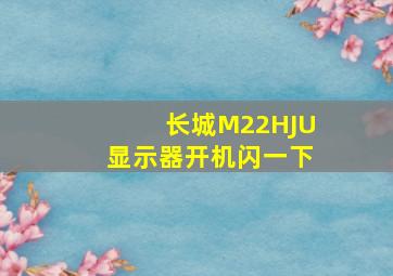 长城M22HJU显示器开机闪一下