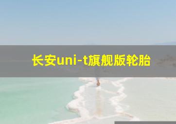 长安uni-t旗舰版轮胎