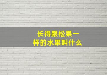 长得跟松果一样的水果叫什么