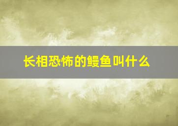 长相恐怖的鳗鱼叫什么