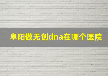 阜阳做无创dna在哪个医院