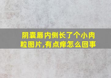 阴囊唇内侧长了个小肉粒图片,有点痒怎么回事