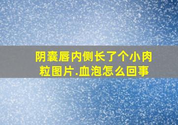 阴囊唇内侧长了个小肉粒图片.血泡怎么回事