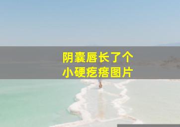 阴囊唇长了个小硬疙瘩图片