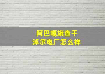 阿巴嘎旗查干淖尔电厂怎么样