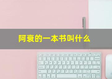 阿衰的一本书叫什么