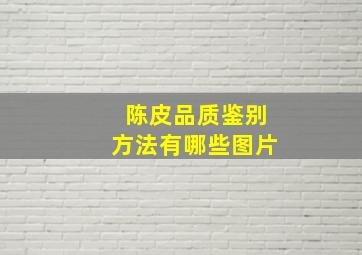 陈皮品质鉴别方法有哪些图片