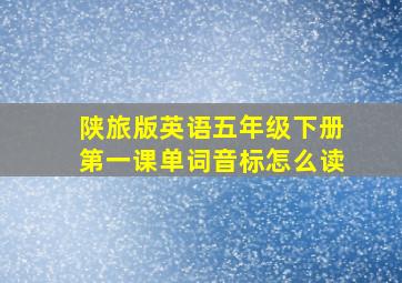 陕旅版英语五年级下册第一课单词音标怎么读