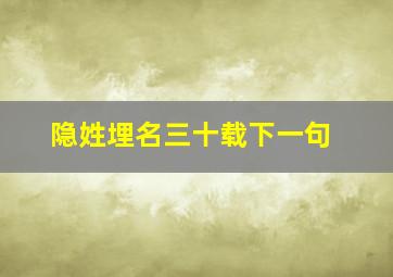 隐姓埋名三十载下一句