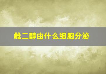 雌二醇由什么细胞分泌