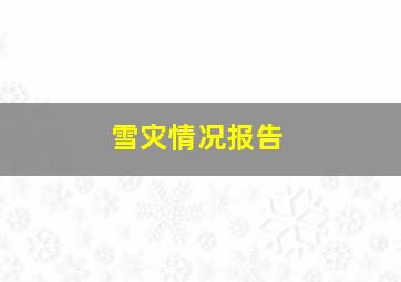 雪灾情况报告