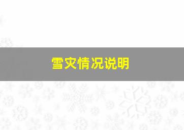 雪灾情况说明