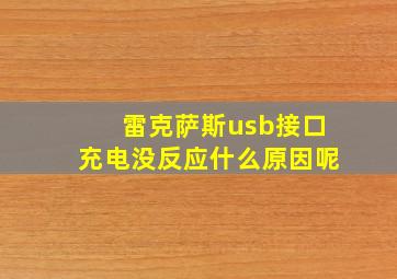 雷克萨斯usb接口充电没反应什么原因呢