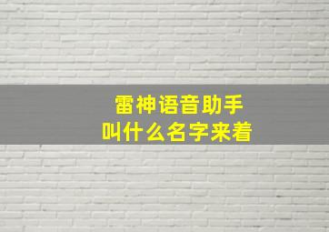 雷神语音助手叫什么名字来着