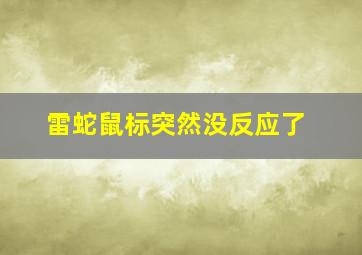 雷蛇鼠标突然没反应了