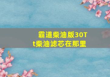 霸道柴油版30Tt柴油滤芯在那里