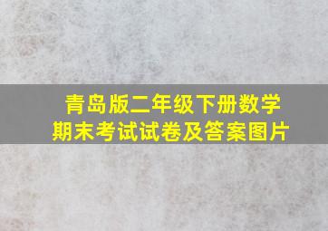 青岛版二年级下册数学期末考试试卷及答案图片