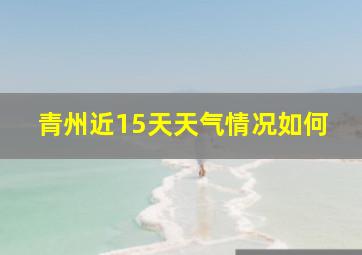 青州近15天天气情况如何