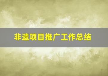 非遗项目推广工作总结