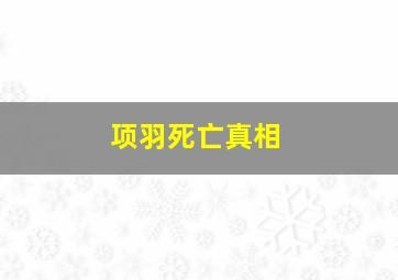 项羽死亡真相