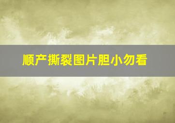 顺产撕裂图片胆小勿看