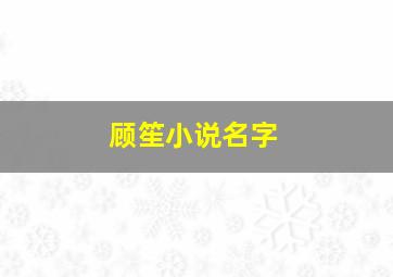 顾笙小说名字