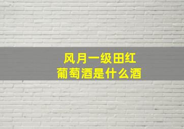 风月一级田红葡萄酒是什么酒