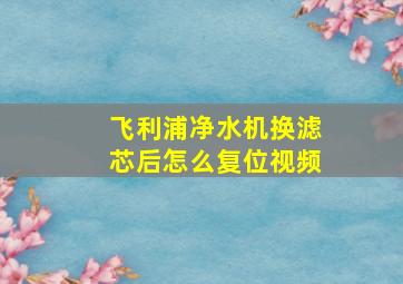 飞利浦净水机换滤芯后怎么复位视频