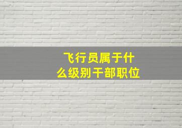 飞行员属于什么级别干部职位