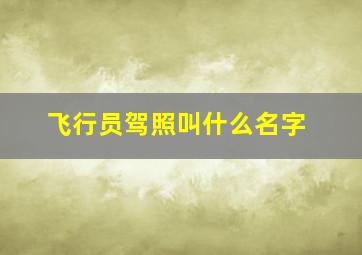 飞行员驾照叫什么名字